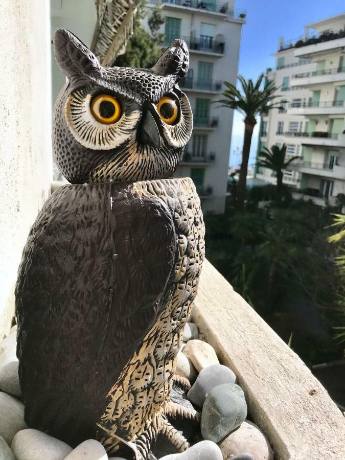 Nice Beach - Promenade Des Anglais 외부 사진